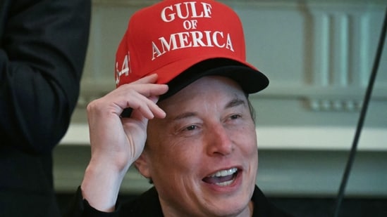 Elon Musk is stepping down as DOGE chief (AFP)