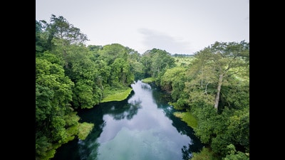 A publisher tells one of the central characters in this novel, Chiamaka, an aspiring author, to work on something on the Congo before starting her travel memoir, adding that “Somalia and Sudan could work too”. In the picture, the Tulu Niari river in The Republic of Congo. (Shutterstock) A publisher tells one of the central characters in this novel, Chiamaka, an aspiring author, to work on something on the Congo before starting her travel memoir, adding that “Somalia and Sudan could work too”. In the picture, the Tulu Niari river in The Republic of Congo. (Shutterstock)