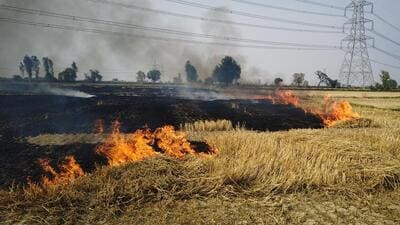 The Centre has spent over  ₹3,200 crore on subsidised machinery since 2018 to check the menace, but little change was seen on ground as farmers continued to set fields on fire. (HT File)