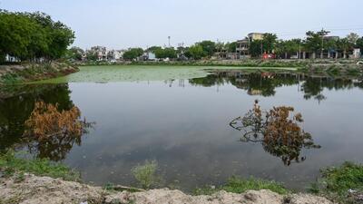 The pond in Greater Noida’s Bhola Rawal village. (Sunil Ghosh /HT Photo) The pond in Greater Noida’s Bhola Rawal village. (Sunil Ghosh /HT Photo)