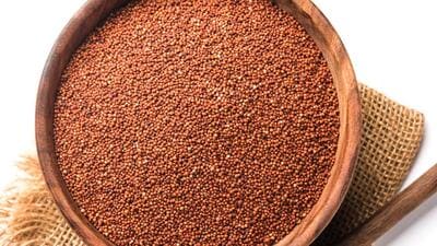The situation of the villagers of Tetavali had a deep impact on the Deodhars. Nitin thought that he should lead by example and bought 15 acres of land in the area (self-invested) to grow their traditional crops – ragi and varai along with cashew. He employed some locals to do the job hoping that it would spur the others to get back to the crops their land could bear. (REPRESENTATIVE PHOTO) The situation of the villagers of Tetavali had a deep impact on the Deodhars. Nitin thought that he should lead by example and bought 15 acres of land in the area (self-invested) to grow their traditional crops – ragi and varai along with cashew. He employed some locals to do the job hoping that it would spur the others to get back to the crops their land could bear. (REPRESENTATIVE PHOTO)