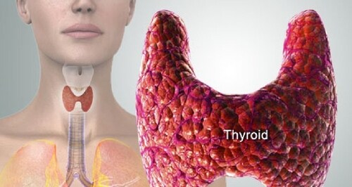 Know how thyroid storm can be treated. (Twitter/WebMD) Know how thyroid storm can be treated. (Twitter/WebMD)