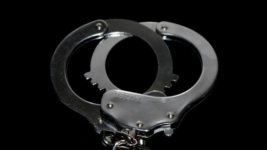 Nathan Vilas Laatsch arrested for attempting to leak classified info to a foreign government. (Pixabay)