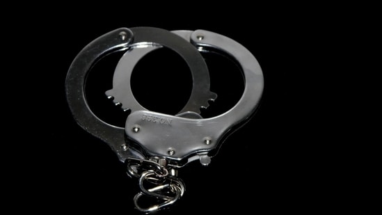 The accused was apprehended on Thursday evening from Maheshi village under the jurisdiction of Sultanganj Police Station. (Pixabay/Representative Image)
