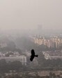 Officials said the directive comes after alarming deterioration in air quality observed during from October to January every year. (AP) Officials said the directive comes after alarming deterioration in air quality observed during from October to January every year. (AP)