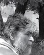 Thapar authored 32 books, including four on Africa. ‘Living With Tigers’, ‘The Secret Life of Tigers’ are among those. (Dharmendra Khandal) Thapar authored 32 books, including four on Africa. ‘Living With Tigers’, ‘The Secret Life of Tigers’ are among those. (Dharmendra Khandal)