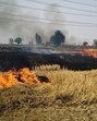 The Centre has spent over <span class='webrupee'>₹</span>3,200 crore on subsidised machinery since 2018 to check the menace, but little change was seen on ground as farmers continued to set fields on fire. (HT File) The Centre has spent over <span class='webrupee'>₹</span>3,200 crore on subsidised machinery since 2018 to check the menace, but little change was seen on ground as farmers continued to set fields on fire. (HT File)