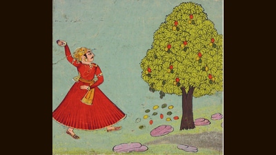 An 1850 painting of a man throwing stones at a mango tree, to get at its fruit. (Victoria and Albert Museum) An 1850 painting of a man throwing stones at a mango tree, to get at its fruit. (Victoria and Albert Museum)