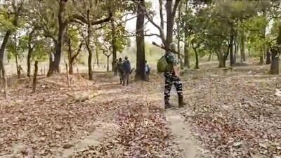 Nine teams of the special operations group of the Odisha police, Jaguar team of the Jharkhand police, CRPF, and CoBRA started a joint operation in the area. (PTI/ Representational image) Nine teams of the special operations group of the Odisha police, Jaguar team of the Jharkhand police, CRPF, and CoBRA started a joint operation in the area. (PTI/ Representational image)