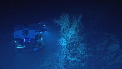The US NOAA (National Oceanic and Atmospheric Administration)’s remotely operated vehicle, Deep Discoverer, scans the seas around the Paganini underwater mountain in the Pacific. (Image NOAA) The US NOAA (National Oceanic and Atmospheric Administration)’s remotely operated vehicle, Deep Discoverer, scans the seas around the Paganini underwater mountain in the Pacific. (Image NOAA)