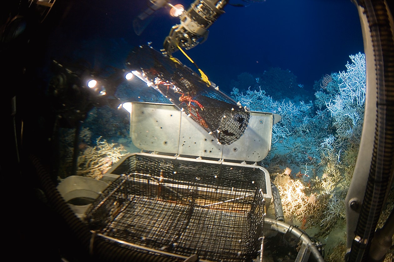 A view from a submersible that descended during NOAA’s 2005 Life on the Edge expedition. (NOAA) A view from a submersible that descended during NOAA’s 2005 Life on the Edge expedition. (NOAA)