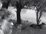 Valmik Thapar (1952-2025) (Photo: Dharmendra Khandal)