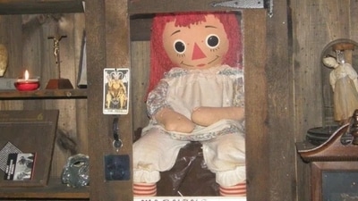 Amid rumors of Annabelle's disappearance during her US tour, a dark tourism specialist highlights her eerie past. ( X@lambas70) Amid rumors of Annabelle's disappearance during her US tour, a dark tourism specialist highlights her eerie past. ( X@lambas70)