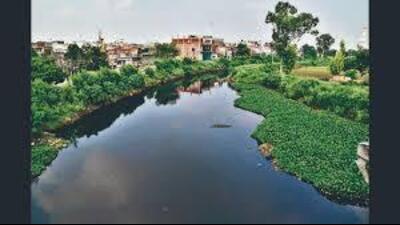 Residents living near the Tajpur complex have long raised concerns. (HT File) Residents living near the Tajpur complex have long raised concerns. (HT File)