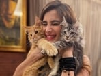 Rasha Thadani introduced two maine coon cats to her pet family named Sher and Bageera.&nbsp;