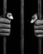 The accused have been identified as Maridul, a resident of Dhaneda village in Himachal Pradesh; Hitesh of Sector 39, Chandigarh; and Shivam from Matiara village, Sarkaghat, Himachal Pradesh. (Getty Images/Vetta) The accused have been identified as Maridul, a resident of Dhaneda village in Himachal Pradesh; Hitesh of Sector 39, Chandigarh; and Shivam from Matiara village, Sarkaghat, Himachal Pradesh. (Getty Images/Vetta)