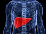 The liver is prone to abnormal growths that can be benign or malignant. The liver is prone to abnormal growths that can be benign or malignant.