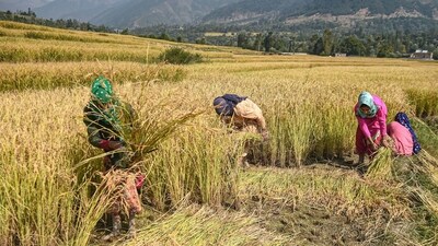 Representational image. (PTI) Representational image. (PTI)