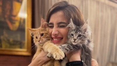 Rasha Thadani introduced two maine coon cats to her pet family named Sher and Bageera. (Instagram/rashathadani) Rasha Thadani introduced two maine coon cats to her pet family named Sher and Bageera. (Instagram/rashathadani)