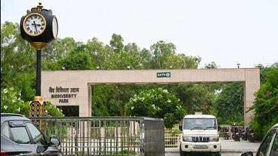 The Biodiversity Park in Sector 91. (Sunil Ghosh/HT Photo)