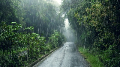 The rainy season has sparked the Rainscape Movement among travellers eager to explore new destinations and embrace fresh experiences. (Freepik) The rainy season has sparked the Rainscape Movement among travellers eager to explore new destinations and embrace fresh experiences. (Freepik)