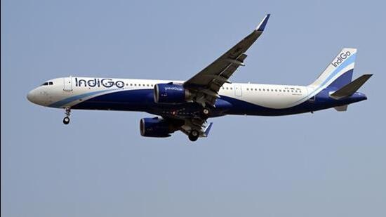 The bird hit dented the external body near the nose of the flight. (Representational image)