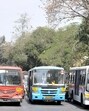 As per the PMPML authorities, 1,554 buses were deployed on various routes on Sunday even though around 1,000 scheduled buses did not operate. (FILE)