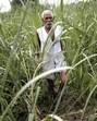 Most of the Indian blue-collar workforce has moved from one precarity to another, just slogging to earn incrementally better incomes in cities under abysmal living conditions. (Reuters)