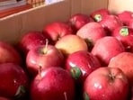 Turkish apples