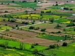 Mumbai-based NeoLiv, a fund-led real estate developer, has sold 263 plots in its first housing project in Haryana, generating sales worth over  <span class='webrupee'>₹</span>300 crore. (Representational Image)