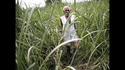 Most of the Indian blue-collar workforce has moved from one precarity to another, just slogging to earn incrementally better incomes in cities under abysmal living conditions. (Reuters) Most of the Indian blue-collar workforce has moved from one precarity to another, just slogging to earn incrementally better incomes in cities under abysmal living conditions. (Reuters)