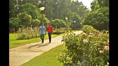 The garden is one of Ludhiana’s few remaining green spaces & draws hundreds of visitors daily. (HT Photo) The garden is one of Ludhiana’s few remaining green spaces & draws hundreds of visitors daily. (HT Photo)