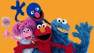 PBS' Sesame Street accused of 'grooming' children after Pride month post (X) PBS' Sesame Street accused of 'grooming' children after Pride month post (X)