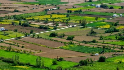 Mumbai-based NeoLiv, a fund-led real estate developer, has sold 263 plots in its first housing project in Haryana, generating sales worth over ₹300 crore. (Representational Image) (Unsplash) Mumbai-based NeoLiv, a fund-led real estate developer, has sold 263 plots in its first housing project in Haryana, generating sales worth over ₹300 crore. (Representational Image) (Unsplash)
