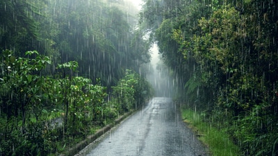 The IMD report highlighted that the average rainfall across the country in May recorded at 126.7 mm (106.4% of the long period average), was the highest for the month since 1901 (Freepik) The IMD report highlighted that the average rainfall across the country in May recorded at 126.7 mm (106.4% of the long period average), was the highest for the month since 1901 (Freepik)
