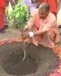 File photo of CM Yogi Adityanath planting a sapling. (Sourced)