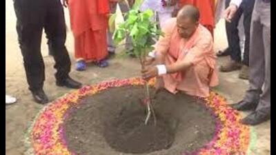 File photo of CM Yogi Adityanath planting a sapling. (Sourced)