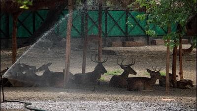 For visitors, the zoo is focusing on a combination of information and entertainment. (FILE) For visitors, the zoo is focusing on a combination of information and entertainment. (FILE)