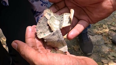 Burnt currency notes seen near the residence of Delhi High Court judge Justice Yashwant Varma, in New Delhi. (ANI file photo) Burnt currency notes seen near the residence of Delhi High Court judge Justice Yashwant Varma, in New Delhi. (ANI file photo)