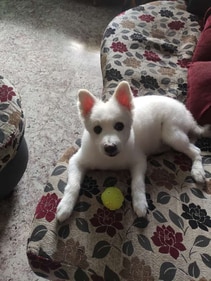 Peach flaunting a perfect haircut!