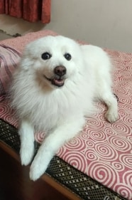 Peach spreading joy with his smile