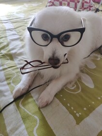 Peach silently saying "I'm guilty" after stealing a pair of glasses - and wearing one!