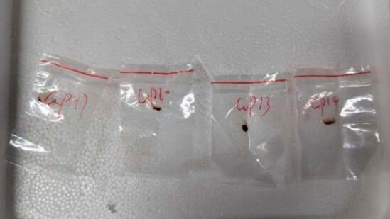 Fusarium graminearum was found at a University of Michigan lab after two Chinese nationals allegedly smuggled it into the US, possibly to pose a food security threat. (X)