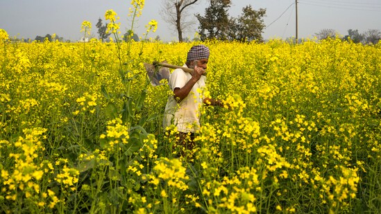To receive the benefits of the PM KISAN scheme, farmers need to complete their eKYC, verify their land records and link their bank account with their Aadhaar card. (PTI File)