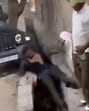 Deputy commissioner of police (Noida) Yamuna Prasad said the SUV had been seized. “Multiple teams are working to trace the suspects seen in the video,” he added, without disclosing how the vehicle was located. (HT Photos)