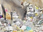 Plastic pollution Plastic pollution