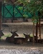 For visitors, the zoo is focusing on a combination of information and entertainment. (FILE)