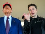 Elon Musk's net worth took a massive hit amid his feud with Donald Trump Elon Musk's net worth took a massive hit amid his feud with Donald Trump