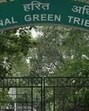 The green body was hearing a petition alleging illegal activity in villages of Khori Kalan and Khori Khurd in Nuh district. (HT File) The green body was hearing a petition alleging illegal activity in villages of Khori Kalan and Khori Khurd in Nuh district. (HT File)