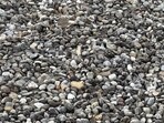 A mind-bending pebble illusion shared by Reddit user challenged viewers to find a well-camouflaged bird. A mind-bending pebble illusion shared by Reddit user challenged viewers to find a well-camouflaged bird.